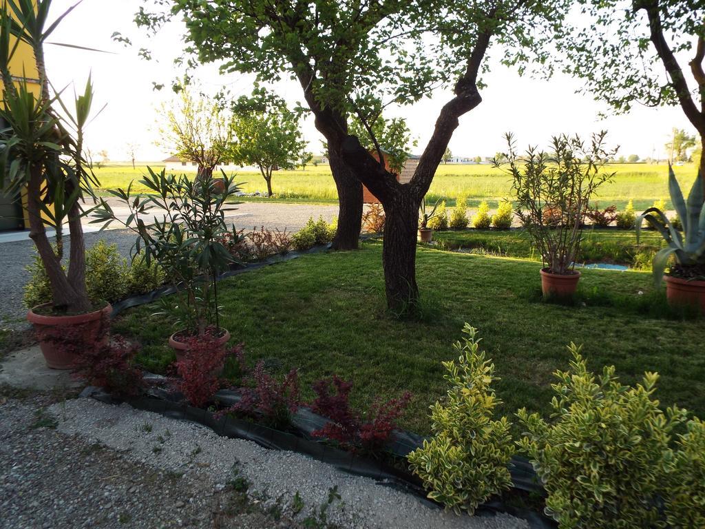 B&B Il Portico Praticello di Gattatico Εξωτερικό φωτογραφία